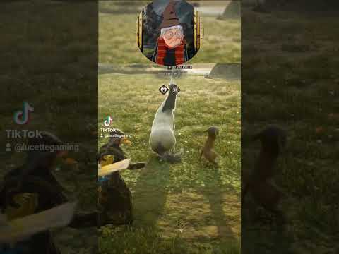 Oups...mauvais sort ! #hogwartslegacy #fail #oups #lol #magic #hogwartslegacyfr #petlover #cute