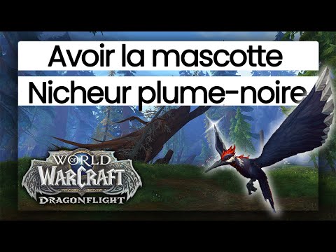 Hogwarts Legacy : Est-ce que j'aurais mon jeu à temps ? Je réponds à vos questions !