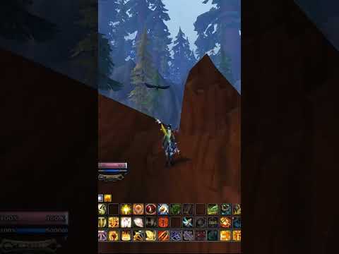 Mascotte Woody Woodpecker dans #wow #dragonflight #worldofwarcraft #petlover