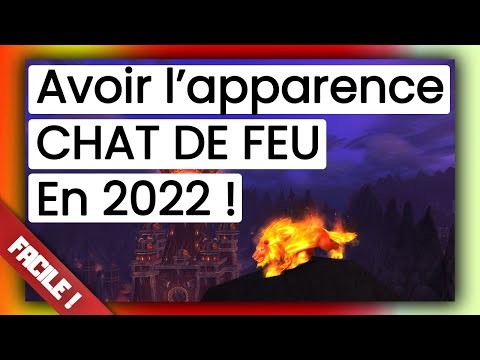 GUIDE Débutant : Avoir le CHATON DE FEU de Cataclysm en 2022 dans WoW ? Montures et Mascottes à loot