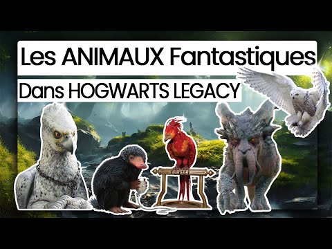 Les ANIMAUX FANTASTIQUES qui seront dans le jeu HOGWARTS LEGACY | Découverte & approfondissement