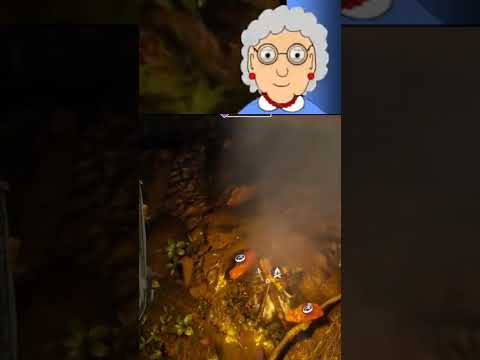 Green Hell : tuto comment faire cuire de le viande (ou pas) #survie #twitch #gamer #greenhell #vod