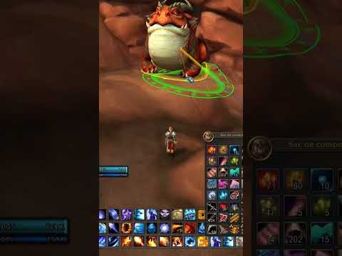 Élucider le mystère du Bufflaxien Possessif pour avoir une mascotte! #wow #dragonflight #grenouille