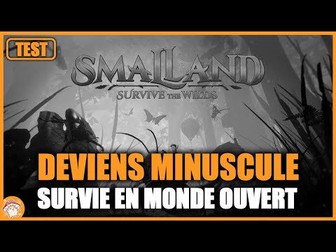 Test du jeu Smalland : jeu de survie en monde ouvert | Gameplay & avis | Merge studio
