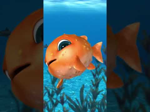 L'agitée du Bocal : Le 15 avril à 15 h sur Twitch #twitch #talkshow #lol #teaser #bubulle #humour