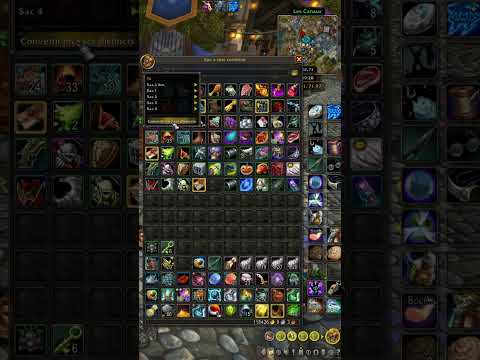 La gestion des sacs dans WoW retail (avec Bagnon)