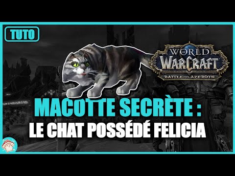 Tuto mascotte secrète de BFA