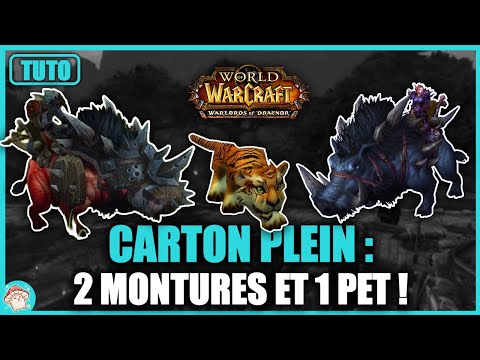 Guide Jungle de Tanaan WoD : 2 montures et 1 mascotte avec la réputation Traquesabre, facile à farm