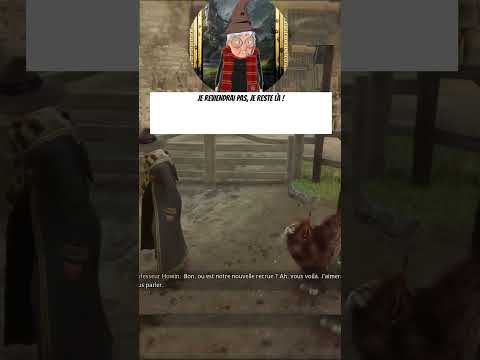 Mamie dans un enclos avec des bestioles...#fun #funnyvideo #fantasticbeasts #petlover #animallover